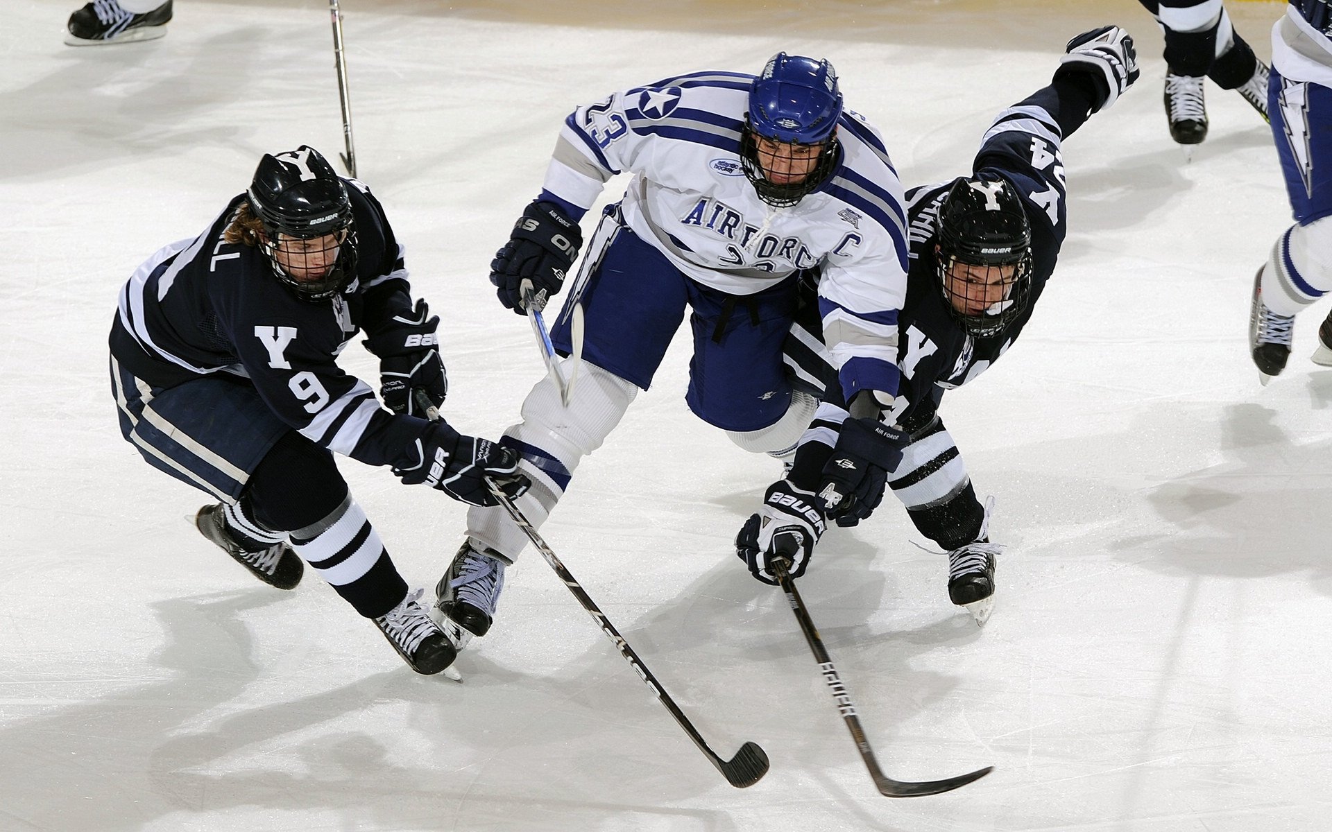 四川金强新赛季目标冲击季后赛,四川金强赛程